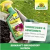 bellaflora Gartencenter GmbH