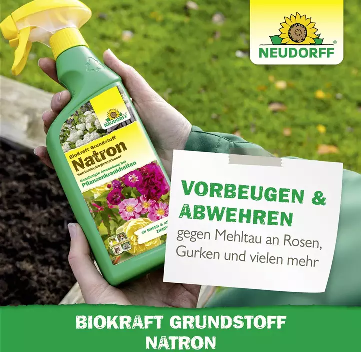 BioKraft Grundstoff Natron