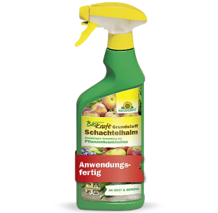 BioKraft Grundstoff Schachtelhalm anwendungsfertig