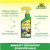 bellaflora Gartencenter GmbH