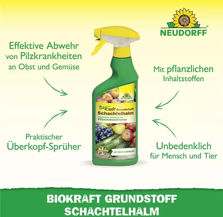 BioKraft Grundstoff Schachtelhalm anwendungsfertig