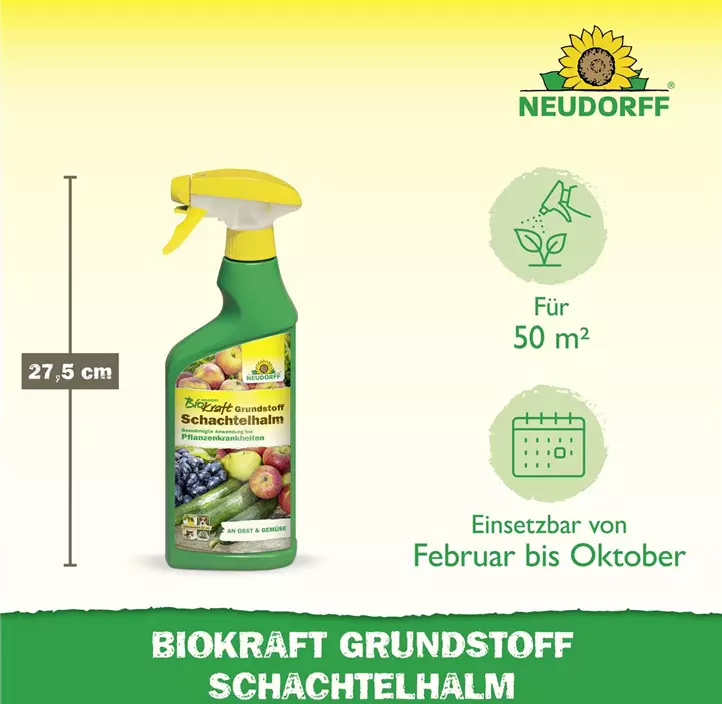 BioKraft Grundstoff Schachtelhalm anwendungsfertig
