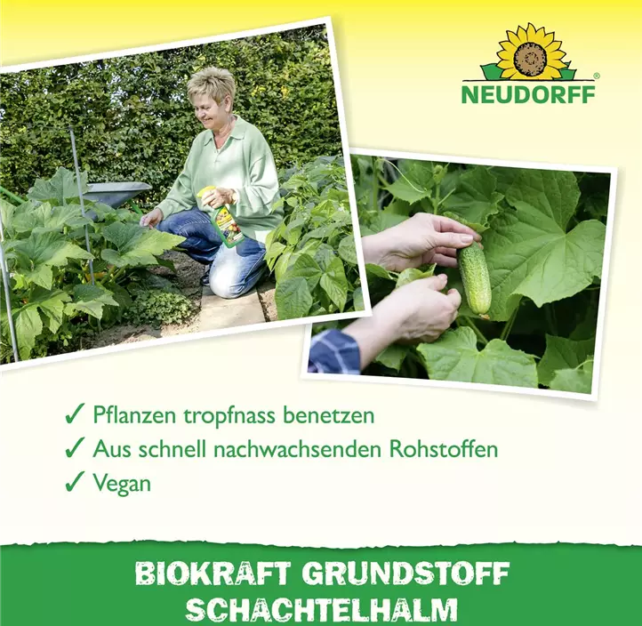 BioKraft Grundstoff Schachtelhalm anwendungsfertig
