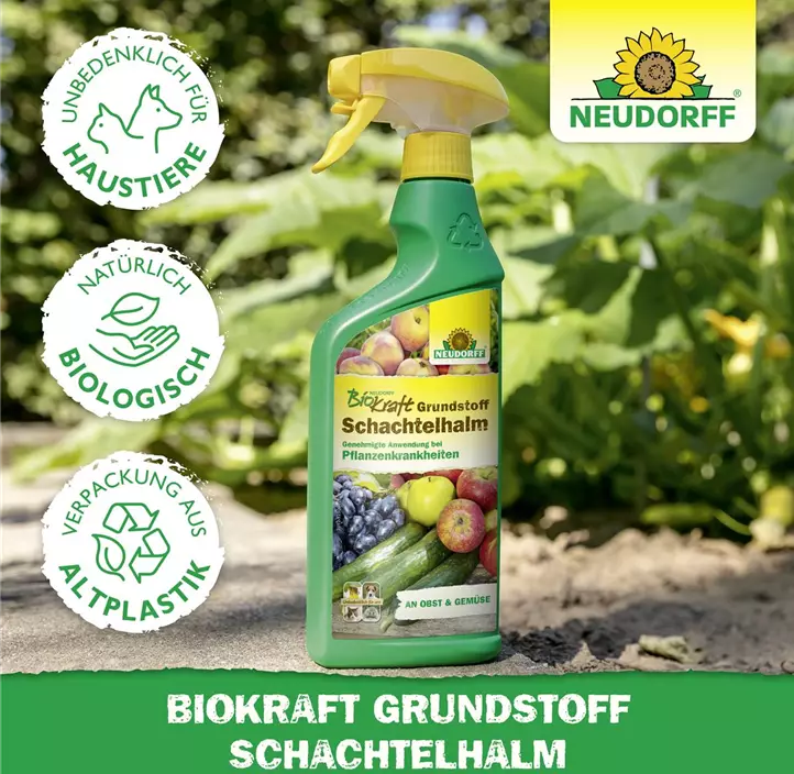 BioKraft Grundstoff Schachtelhalm anwendungsfertig