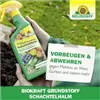 bellaflora Gartencenter GmbH