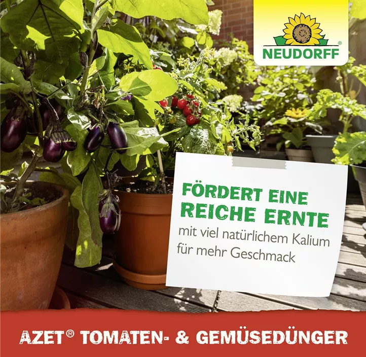 Azet Tomaten- & GemüseDünger flüssig