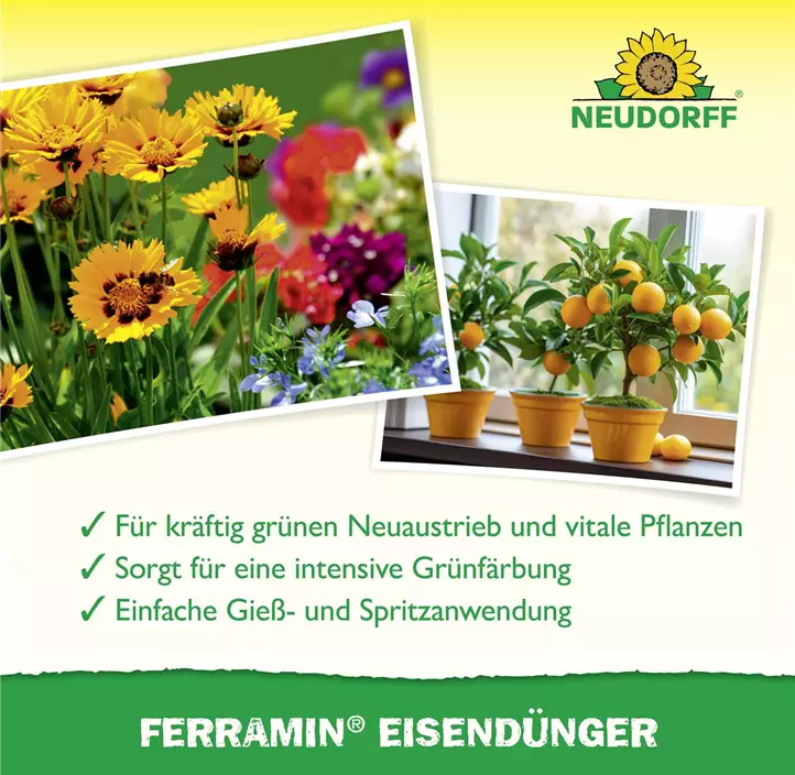 Ferramin Eisendünger