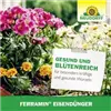 bellaflora Gartencenter GmbH