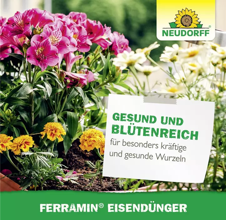Ferramin Eisendünger