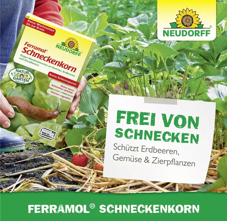 Ferramol Schneckenkorn