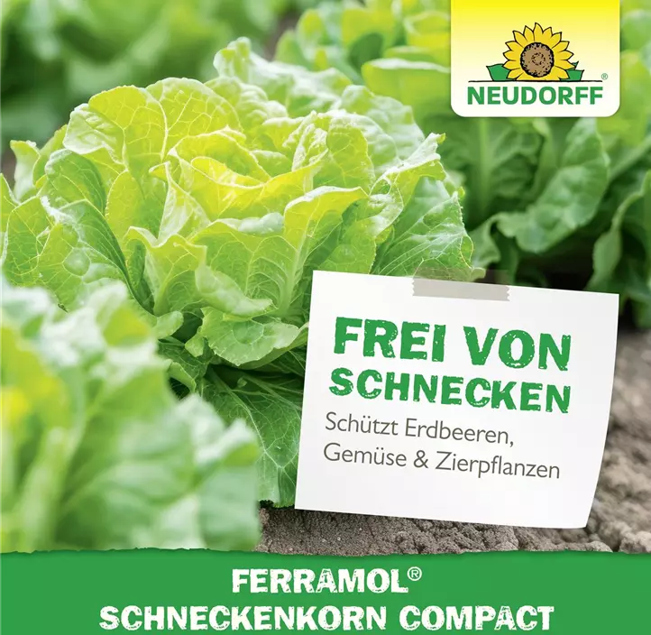 Ferramol Schneckenkorn compact