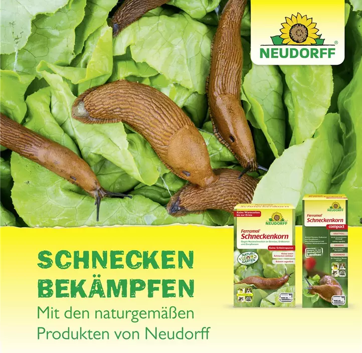 Ferramol Schneckenkorn compact