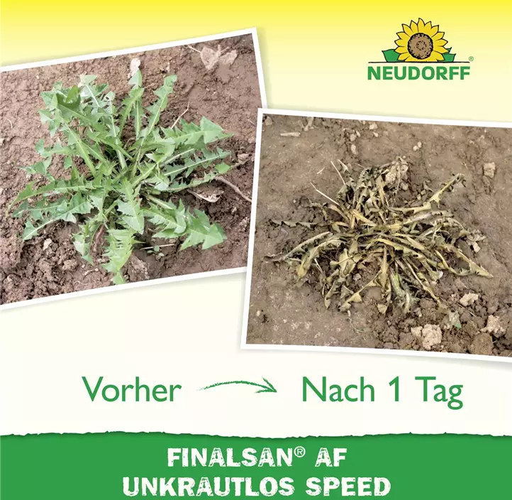 Finalsan AF Unkrautlos Speed