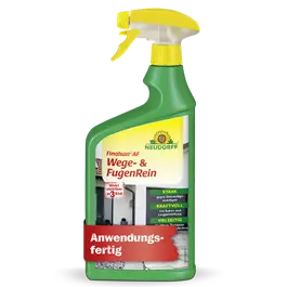 Finalsan AF Wege- und FugenRein