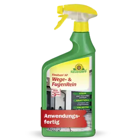 Finalsan AF Wege- und FugenRein