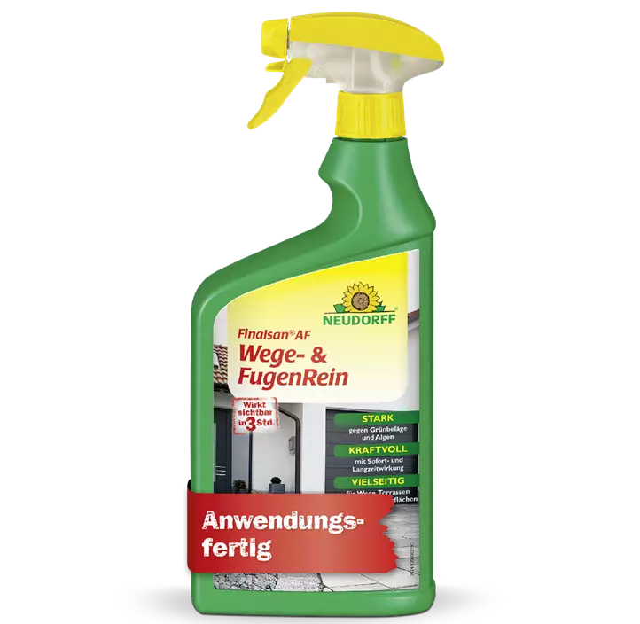 Finalsan AF Wege- und FugenRein