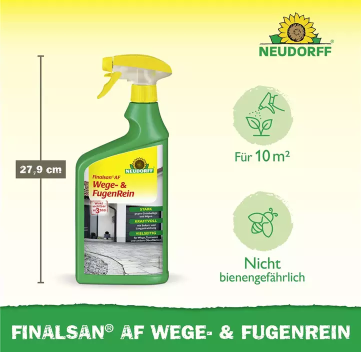 Finalsan AF Wege- und FugenRein
