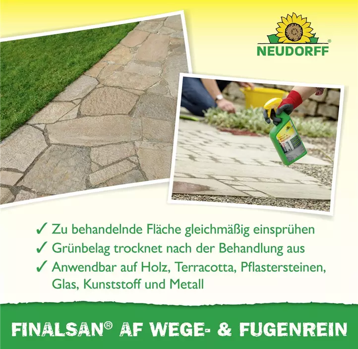 Finalsan AF Wege- und FugenRein