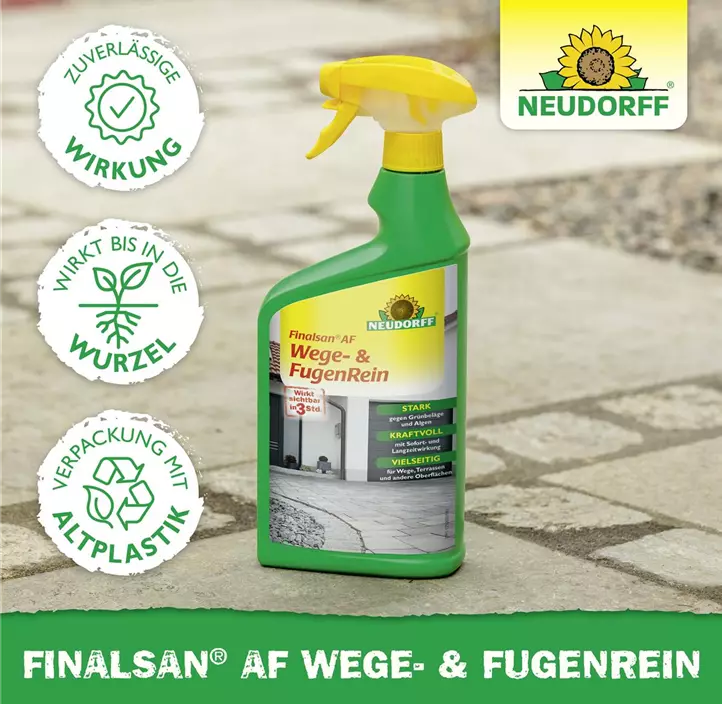 Finalsan AF Wege- und FugenRein