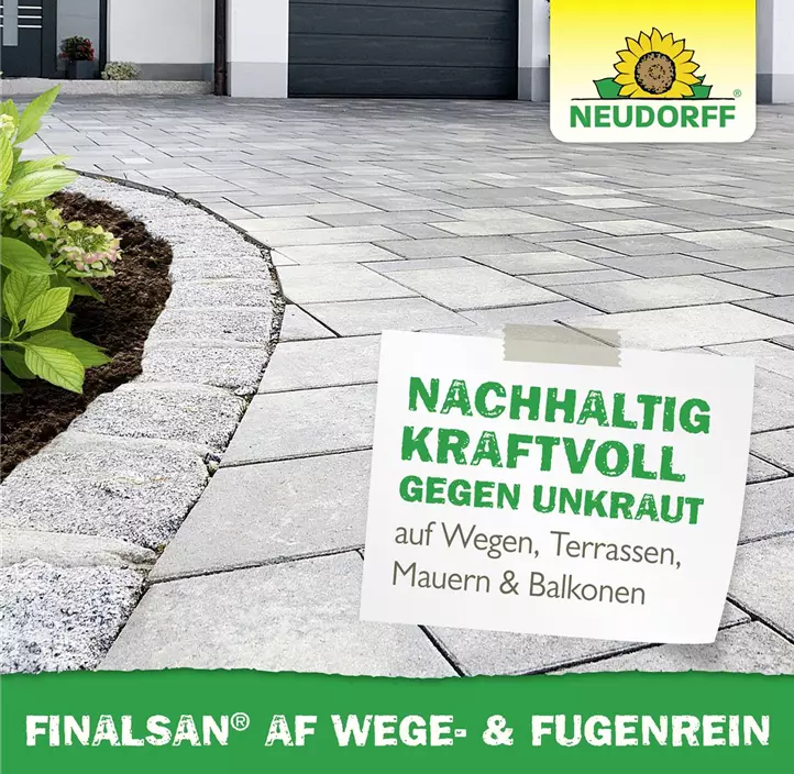 Finalsan AF Wege- und FugenRein