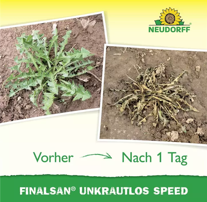 Finalsan Unkrautlos Speed