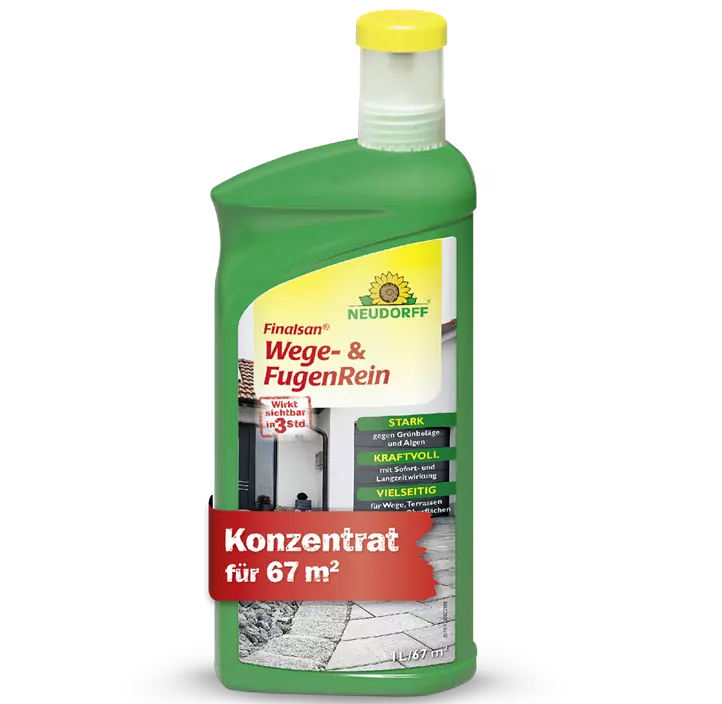 Finalsan Wege- und FugenRein