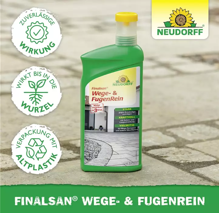 Finalsan Wege- und FugenRein
