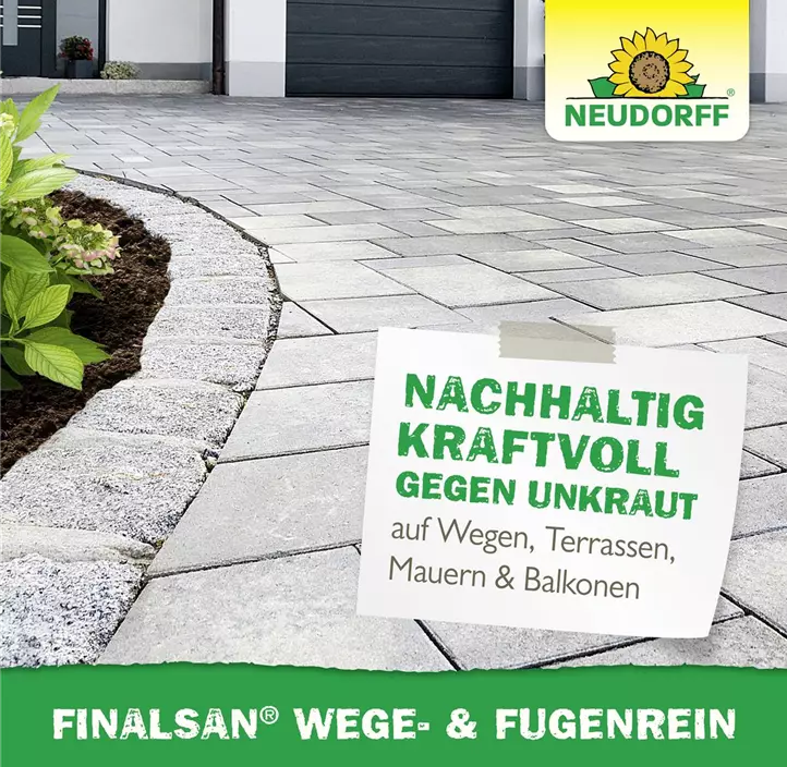Finalsan Wege- und FugenRein