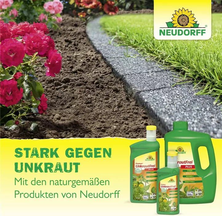 Finalsan Wege- und FugenRein