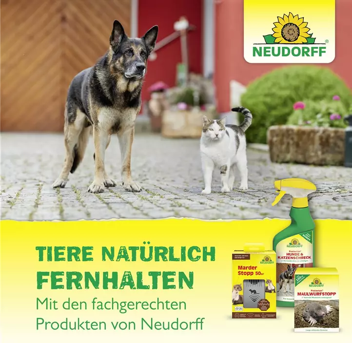 Hunde- und Katzenschreck, anwendungsfertig