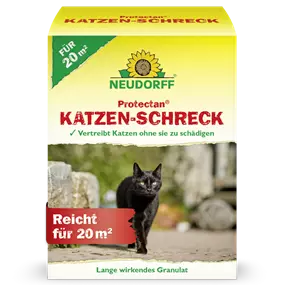 Katzenschreck