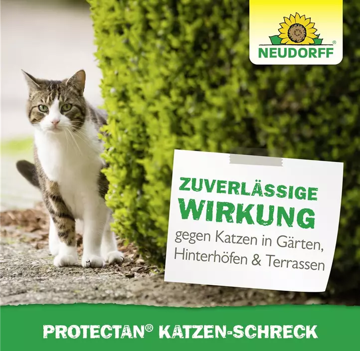 Katzenschreck