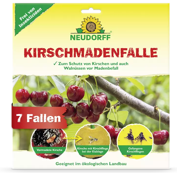 Kirschmadenfalle