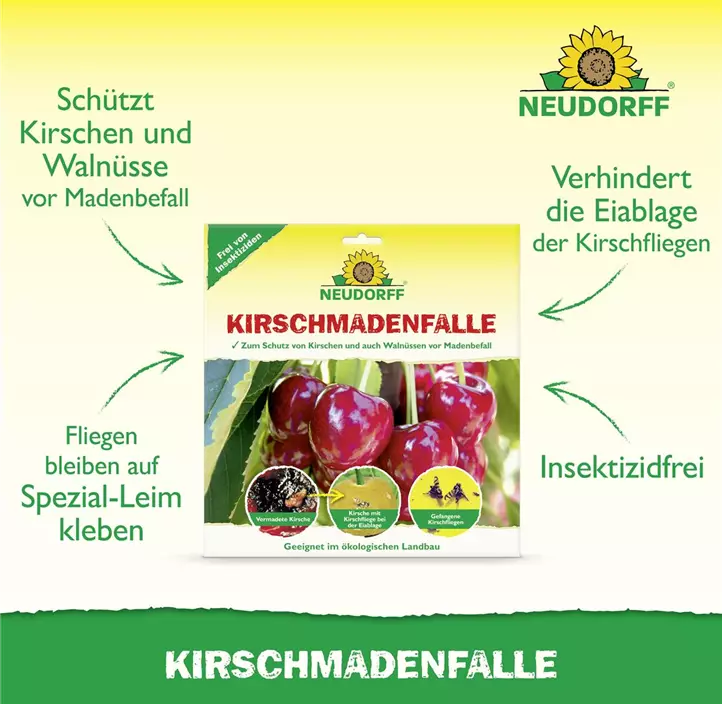 Kirschmadenfalle