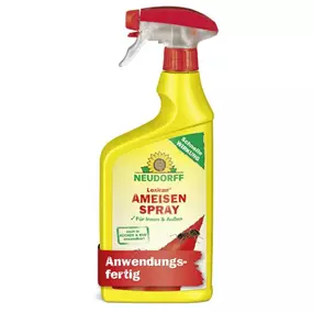 Loxiran AF Ameisenspray