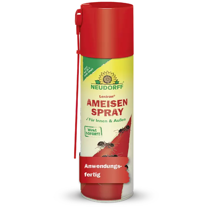 Loxiran Ameisen Spray