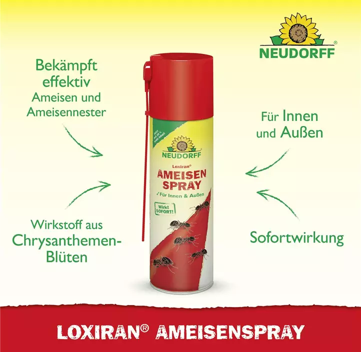 Loxiran Ameisen Spray
