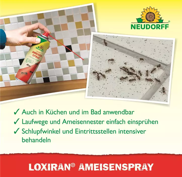 Loxiran Ameisen Spray
