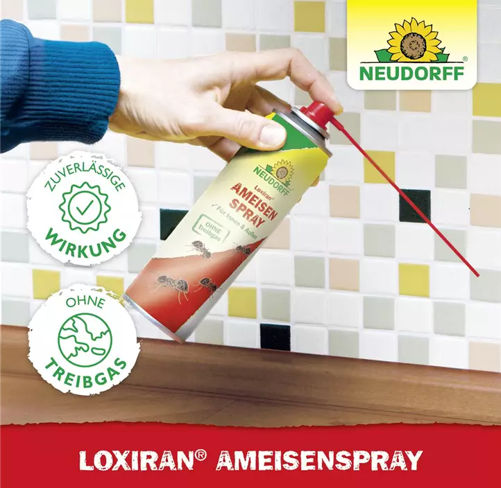 Loxiran Ameisen Spray