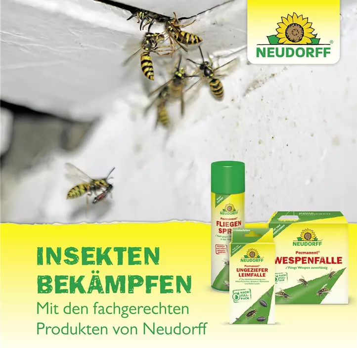 Loxiran Ameisen Spray