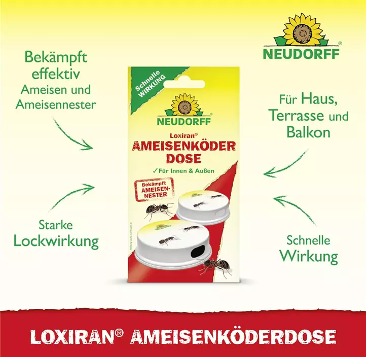 Loxiran Ameisenköderdose