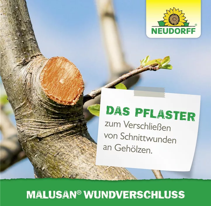 Malusan Wundverschluß