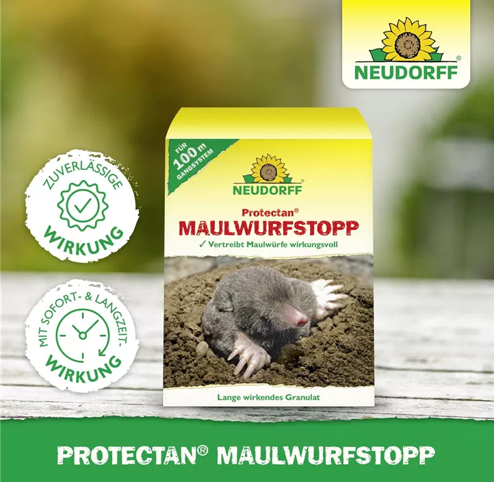 Maulwurf-Stopp