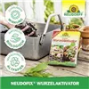 bellaflora Gartencenter GmbH