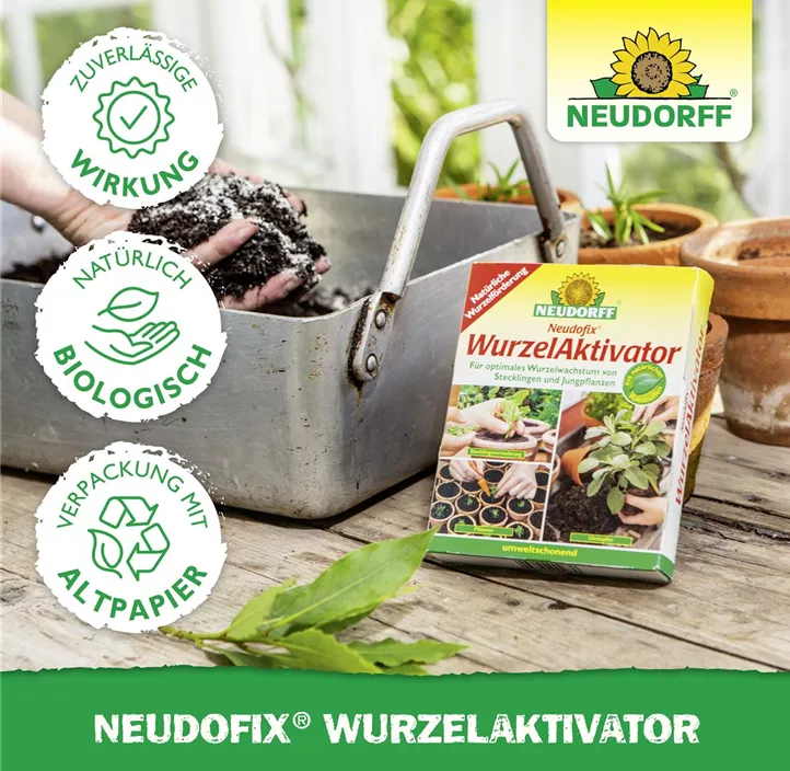 Neudofix WurzelAktivator