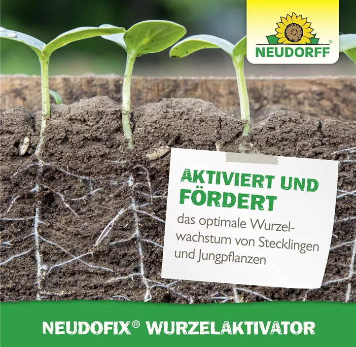 Neudofix WurzelAktivator