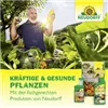 bellaflora Gartencenter GmbH