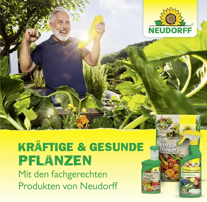 Neudofix WurzelAktivator