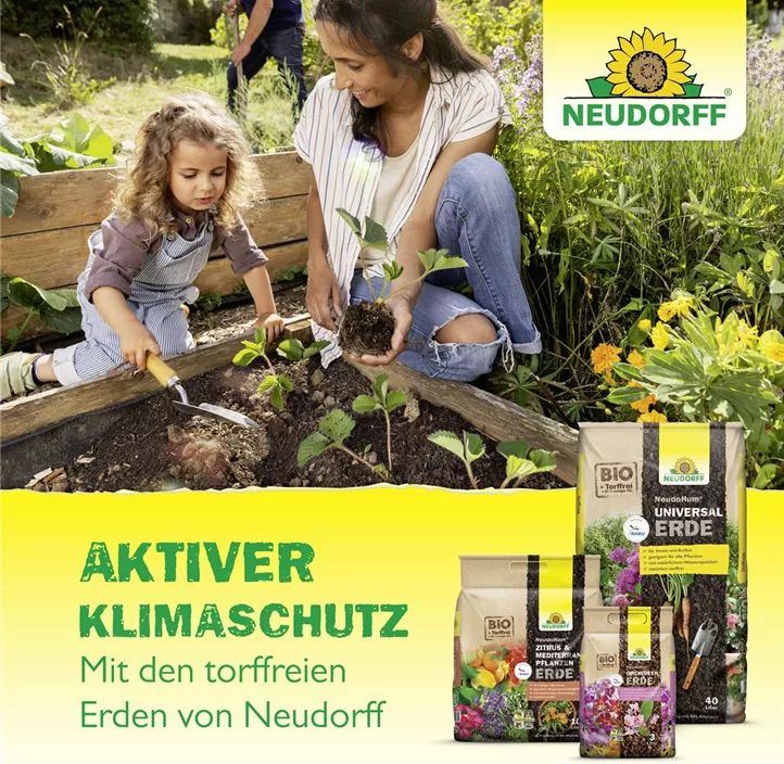 NeudoHum Kakteen- & SukkulentenErde