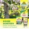 bellaflora Gartencenter GmbH